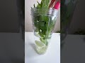 So Refreshing! Mint Lemonade #shorts #asmr #summerdrink