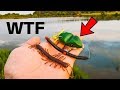 Fishing w/ WEIRD Lures My SUBSCRIBER Sent Me!!!