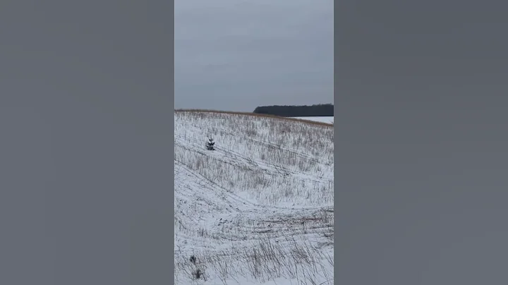 Fly byes or wheelies? #catwalk #ggb #skidoo #wheelie #fast #loud