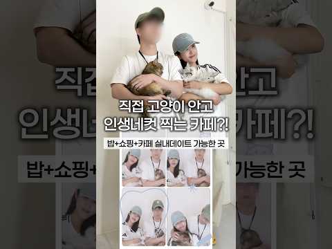 인천 60마리 고양이가 있는 카페 실내 데이트 추천
