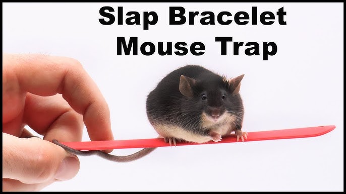  Pack of 8 made2catch Classic Metal Mouse Traps Fully