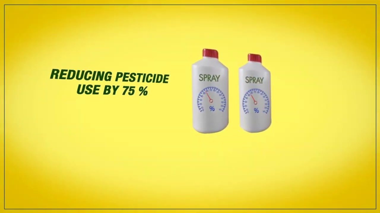 Optic Foliar TRANSPORT