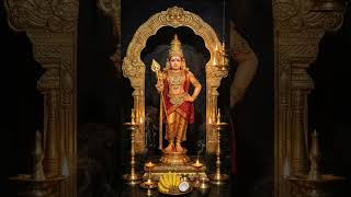 #sabarimalaayyappan #love #aiappa #devotional #song #south #ayyappapatalu #sabrimala #ytshorts