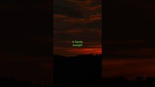 A Gentle Sunlight Resimi