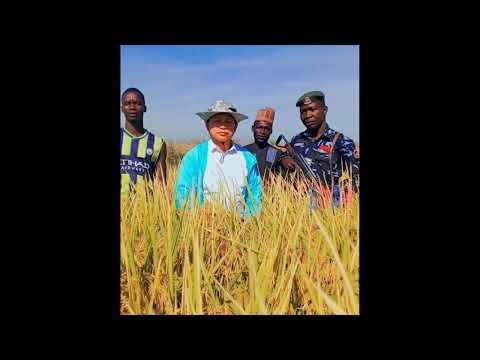 Lão nông Trung Quốc được cảnh sát bảo vệ 24/24.