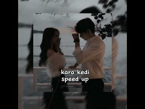 Kara kedi-Melis fis (speed up)
