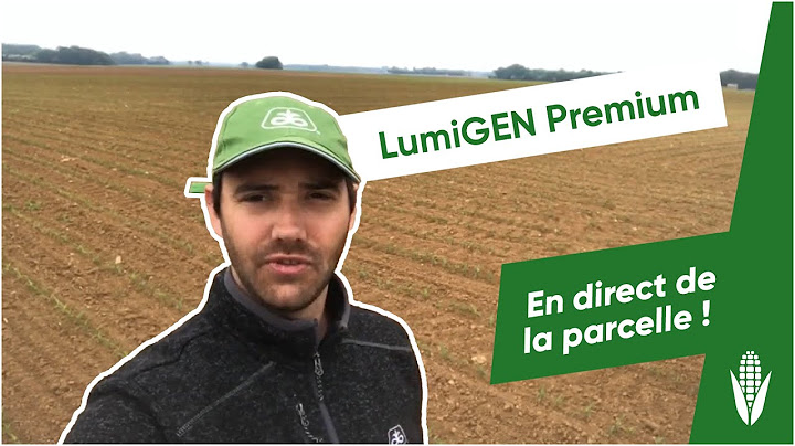 LumiGEN Premium : en direct de la parcelle !