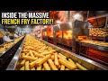 Inside McDonald’s French Fries Factory | How McDonald’s French Fries Are Made in Mega Factories