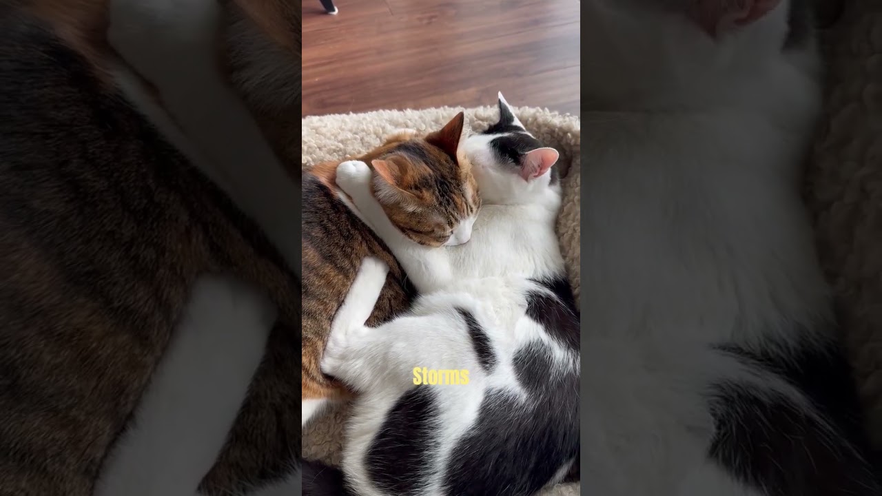 Superhero Logic: Could You Really Telepathically Talk to Someone?