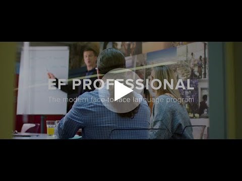 EF Professional -