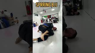 sparring jiu jitsu 82
