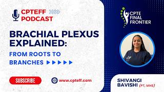 Brachial Plexus Explained Simply | Learn Nerves, Mnemonics & Injuries | CPTEFF