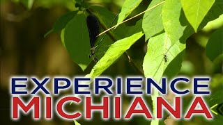 Experience Michiana: Dowagiac Woods Nature Sanctuary