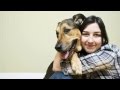 Dog Training Made Easy - Don't Wait To Train Your New Puppy Dog Training Made Easy - Don't Wait To Train Your New Puppy