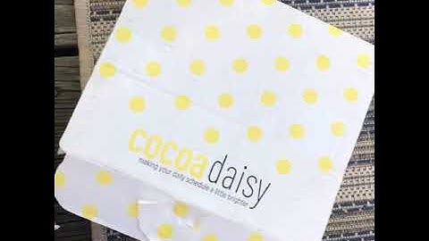 June 2020 Cocoa Daisy Planner Kit