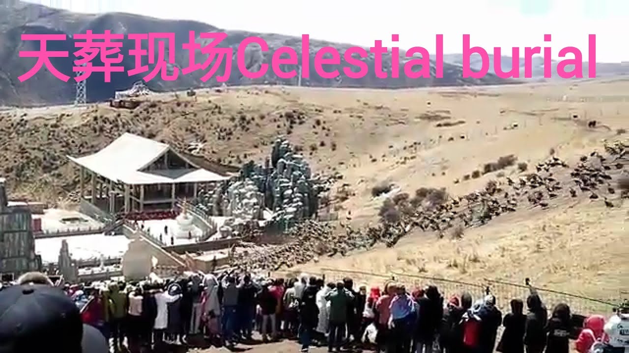 中国藏族地区 天葬现场 Celestial burial site in Tibet, China - YouTube