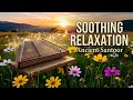 432Hz. Relaxing music for Santoor. Inner Peace. Positive Energy موسیقی آرامش بخش با سنتور