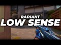 🚨0.132, 1600 DPI  ~ LOW SENSE DE RADIANT🚨
