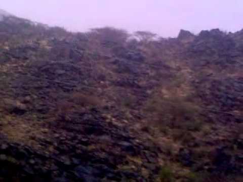 المجارده دقات القلوب 