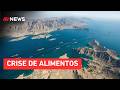 G7 em alerta: Bloqueio no Estreito de Ormuz ameaça segurança alimentar mundial