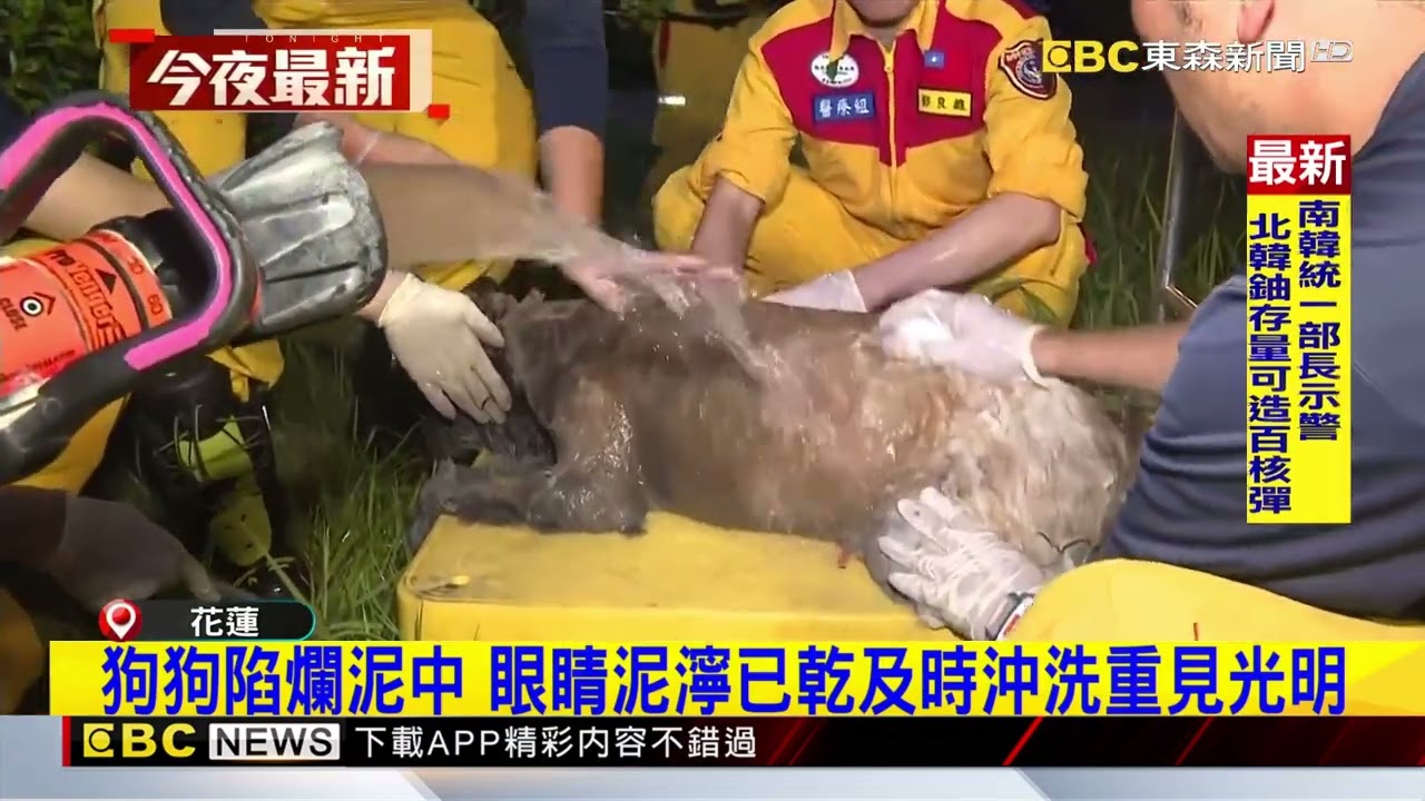 差點被埋!狗狗身陷爛泥高市特搜接力挖泥救出@newsebc