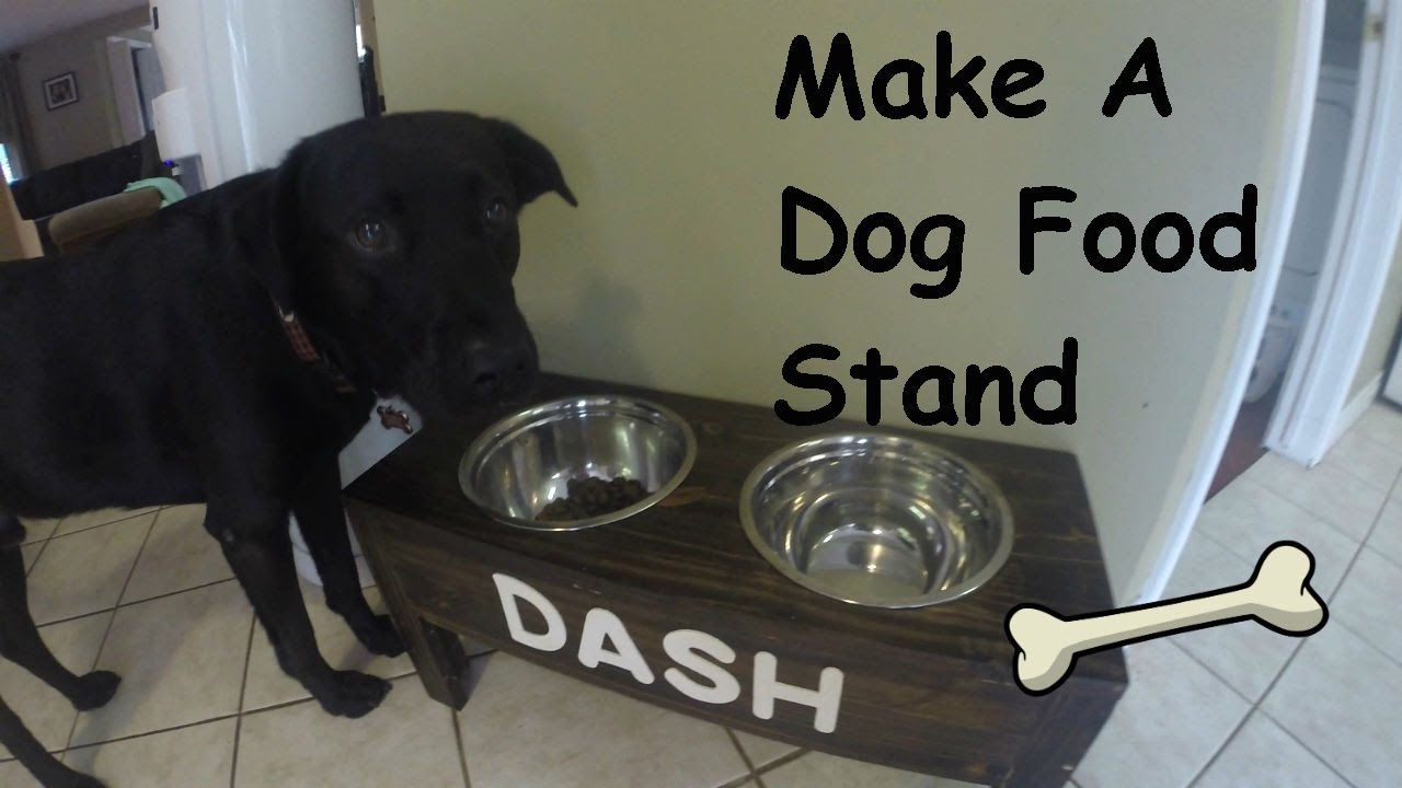 Make A Dog Food Stand YouTube