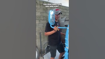 Spil lampu macan madura?
