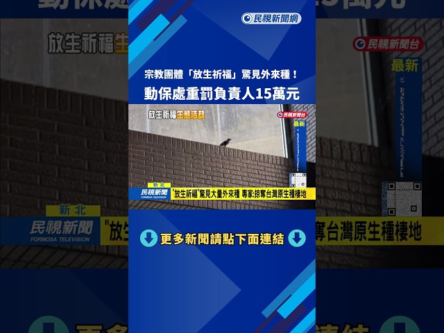 放生祈福？ 宗教團體野放2千隻鳥 「驚見外來種」遭重罰－民視台語新聞