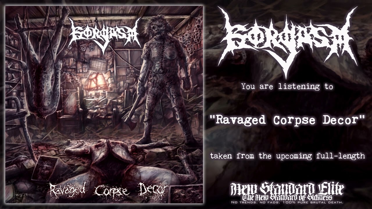 GORGASM CD デスメタル！ GorgasmDestinedToViolatePatch_
