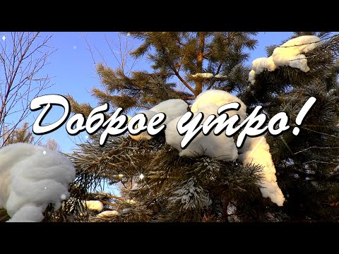 Доброе утро! Тепла и уюта! Очаровательного зимнего дня!