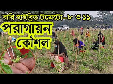 ভিডিও: ফ্লাস্ক কি উৎপাদনের জন্য ভালো?