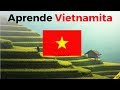 Aprende Vietnamita Mientras Duermes ||| Las Frases y Palabras Más Importantes En Vietnamita ||| (3H)