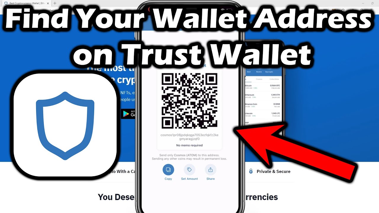 trust wallet public address