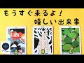 もうすぐ来るよ！嬉しい出来事🌈オラクル＆タロットカード💖