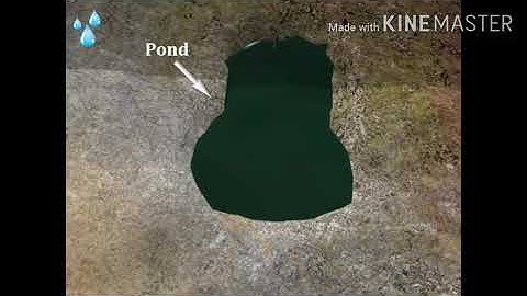 Ozone Generator Working process