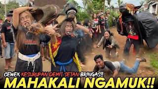 Download Lagu MAHAKALI BANTENGAN MBEROT KESURUPAN DEMIT SUPER HOROR DI DESA PAJARAN!! MP3