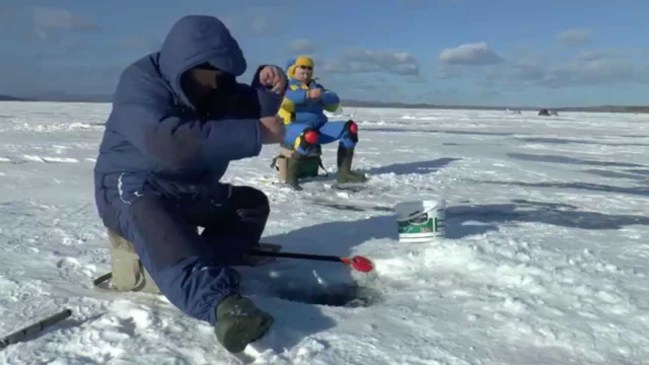 аргази видео отчет о рыбалке аргази видео отчет о рыбалке