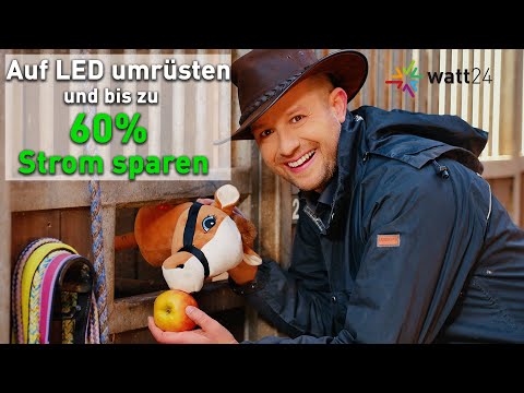 LED-Beleuchtung für die Reithalle - bis zu 60% Strom sparen