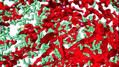 Visualizing protein aggregates within neurons