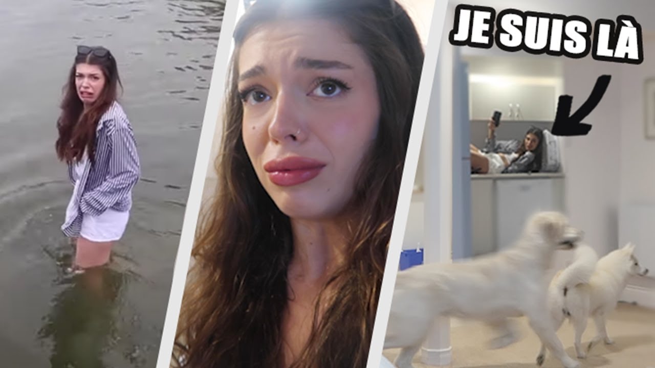 CAP OU PAS CAP & cache cache avec mes chiens