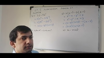 Factorize Exercise 5.1 Question 4 complete solution #923335353885