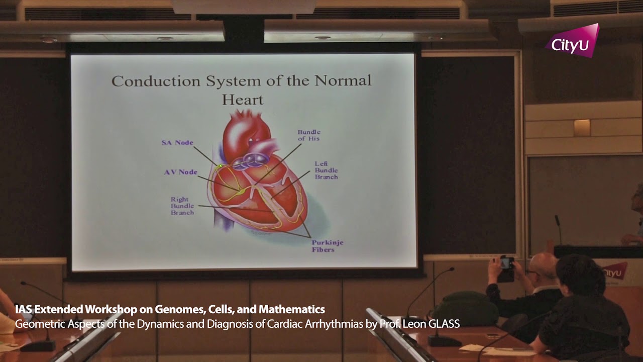 20180724-1 - IAS Extended Workshop by Professor Leon GLASS