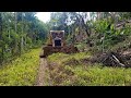 Abandoned plantation roads are repaired again using caterpillar bulldozer d6r xl heavy equipment