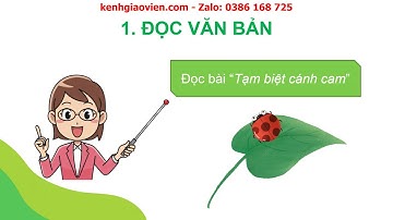 Giáo án powerpoint bài 16 tiết 1,2: Đọc Tạm biệt cánh cam | GA Tiếng Việt 2 Kết nối tri thức