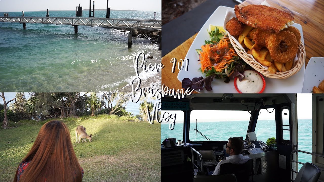 호주일상 브이로그🇦🇺브리즈번 섬투어(North Stradbroke Island) 야생캥거루 보고 Fish&Chips도 먹고