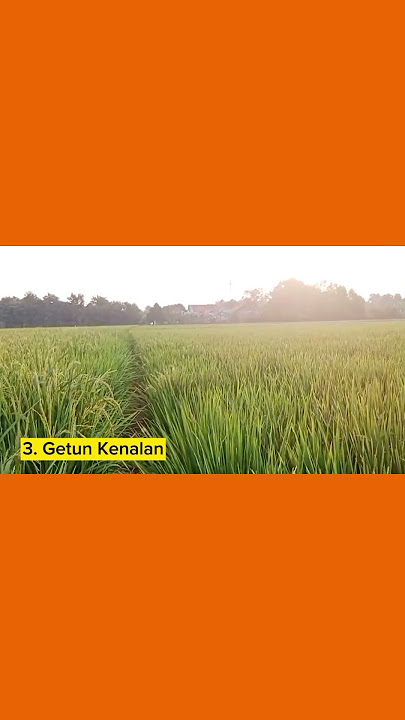 GETUN KENALAN - DARIYAH feat YOYO S. TARLING LAWAS DERMAYON #tarling #shortvideo