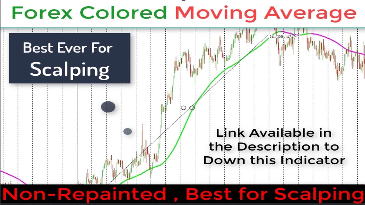 Best Forex Scalping Bot Review - Is Exynox Scalper Legit? donna forex best scalper
