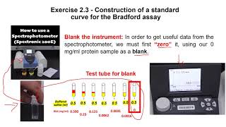 narrated ppt Macromolecules lab p2