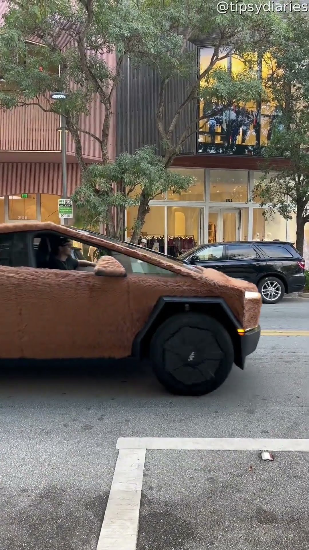 Fur-Covered Cybertruck || ViralHog