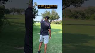 Spark Golf Live